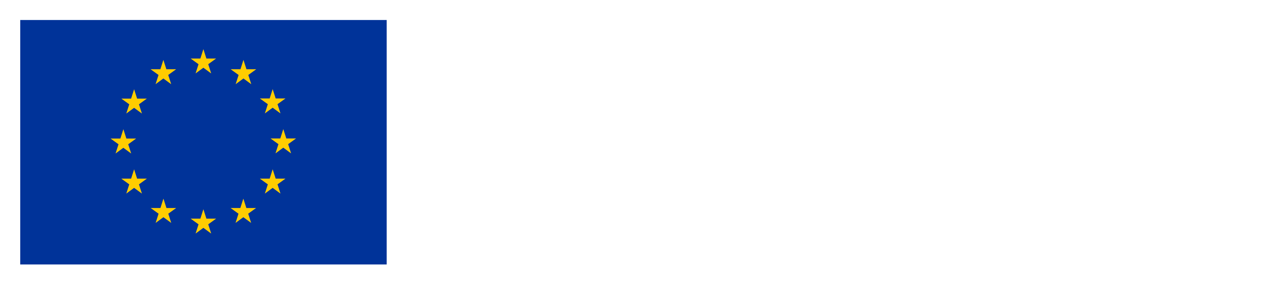 EU Flag